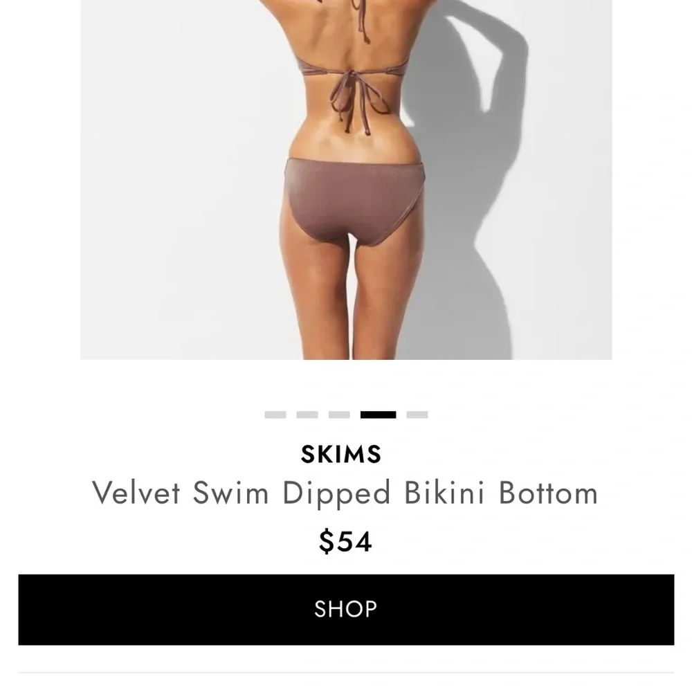 SKIMS Velvet Brown Bikini Bottom